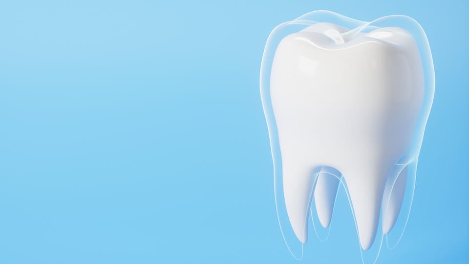 歯の寿命を伸ばす「8020運動」の取り組みと重要性